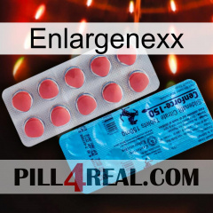 Enlargenexx new14